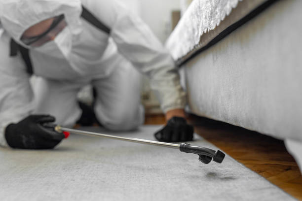 Professional Ant Control technician working in Mattapoisett Center, MA
