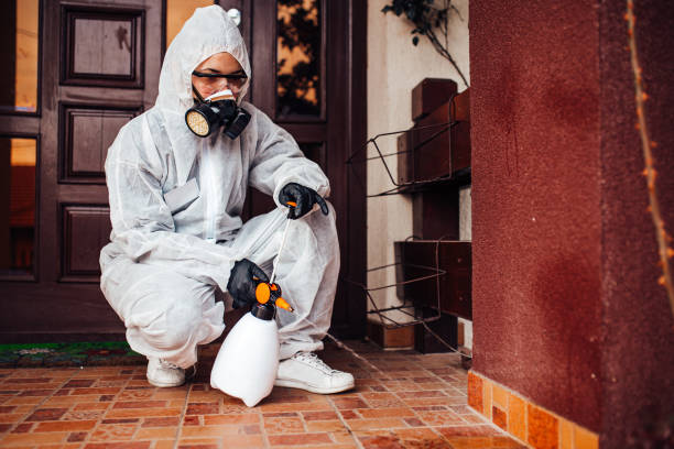 Reliable Wasp Removal contractor in Mattapoisett Center, MA by Show Me Pest Control